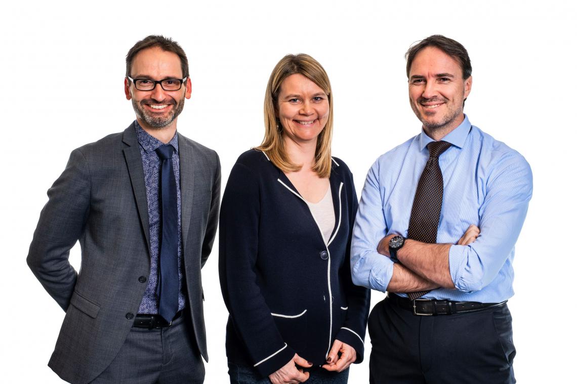 team v-legal
